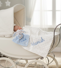 Load image into Gallery viewer, Asian baby in white vintage pram