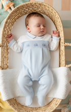 Load image into Gallery viewer, Baby boy in Moses basket