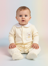 Load image into Gallery viewer, Baby girl sitting option 9