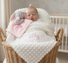 Load image into Gallery viewer, Baby in Moses basket - front view