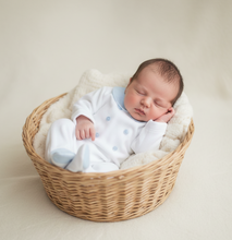 Load image into Gallery viewer, Baby in woven basket