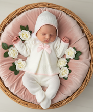 Load image into Gallery viewer, Blush velvet roses