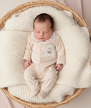 Load image into Gallery viewer, Chunky knit basket