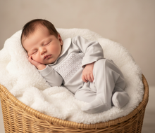 Load image into Gallery viewer, Grey in wicker basket
