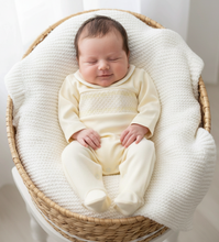 Load image into Gallery viewer, Lemon in wicker basket