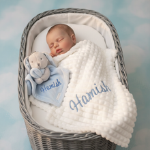 Load image into Gallery viewer, Mixed-race baby in Moses basket - front view