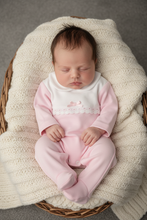 Load image into Gallery viewer, Newborn in basket option 2