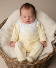 Load image into Gallery viewer, Newborn in basket option 2