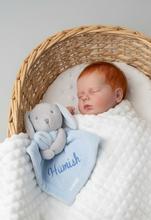 Load image into Gallery viewer, Red-haired baby in Moses basket - front view
