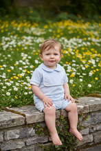 Load image into Gallery viewer, Sitting on wall with daisies