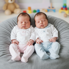 Load image into Gallery viewer, Twins on grey beanbag